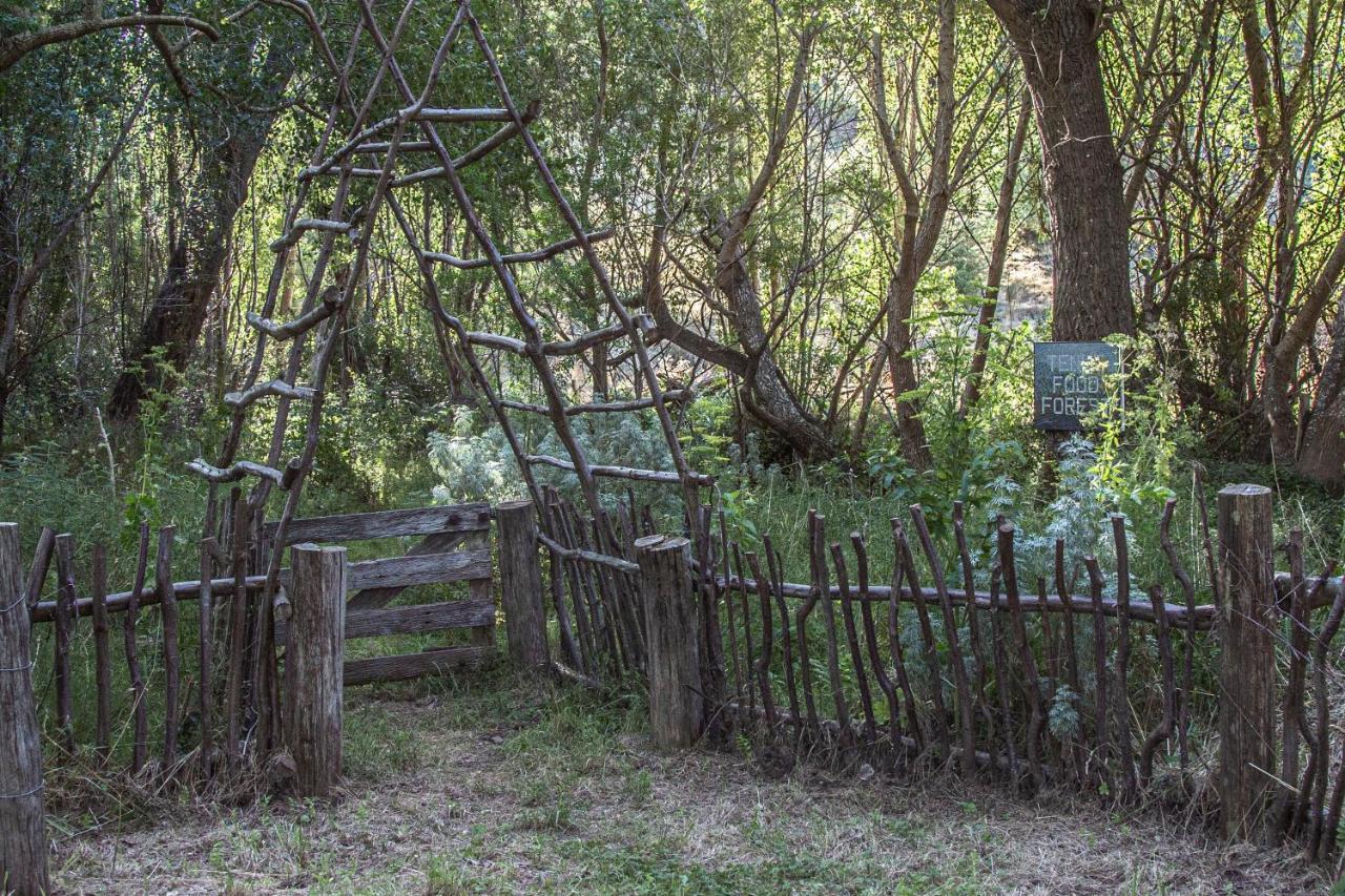 Tinui Food Forest Cottage Whareama Esterno foto