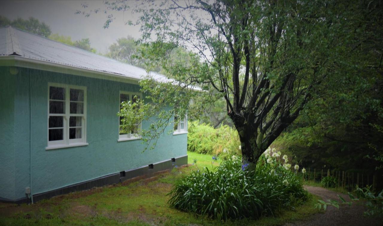 Tinui Food Forest Cottage Whareama Esterno foto